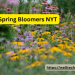 Early Spring Bloomers NYT