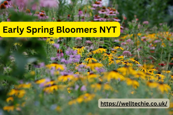 Early Spring Bloomers NYT