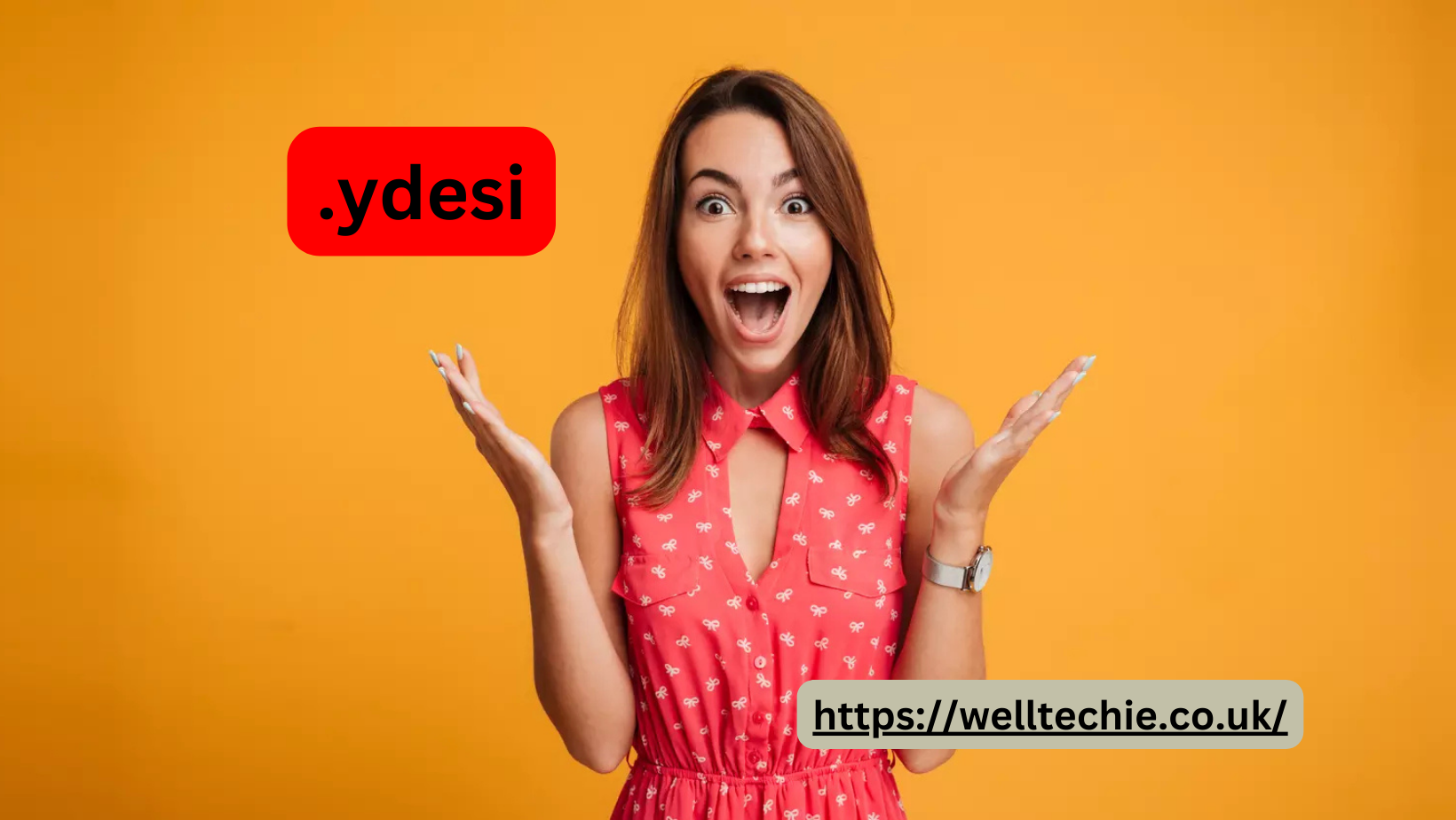 Everything You Need to Know About .ydesi: The Ultimate Guide