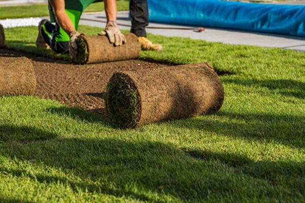 Top-Notch Turf Laying Services: Your Ultimate Guide to a Lush Green Lawn